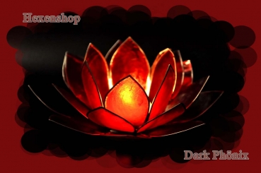 Lotus Teelicht Rot